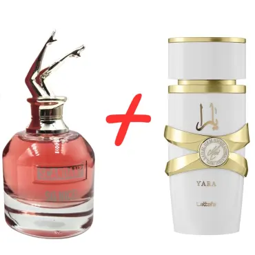 Lattafa Yara Moi + Fragrance World Belle Celine Scandant So Nice!