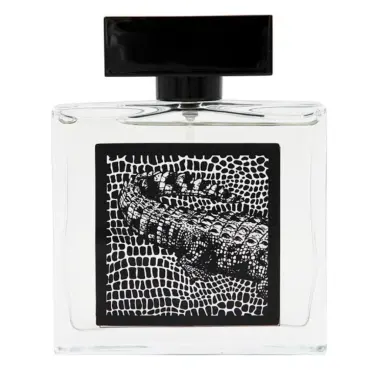 Мъжки Парфюм Fragrance World Decrypt EDP 85 мл.
