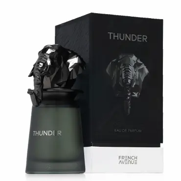 Мъжки Парфюм French Avenue Thunder EDP 100 мл.
